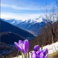 ВЕСНА... :: Валерий Кокорев