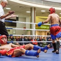 Кикбоксинг :: SanSan 