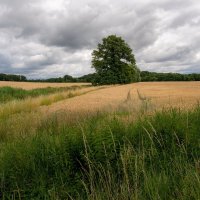 Июльский настрой... :: Николай Гирш