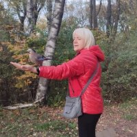 Ручные сойки в парке Кисловодска :: Мариша 