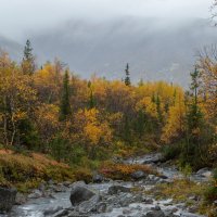 В осенних Хибинах...... :: Юрий Цыплятников
