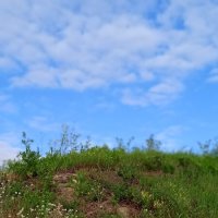 кусочек природы в большом городе :: Елена Шаламова