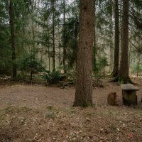 Для усталого путника... :: Николай Гирш