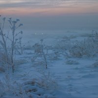 СИБИРСКАЯ :: Александр Кустов
