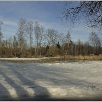 *** :: Aleksandr Gal