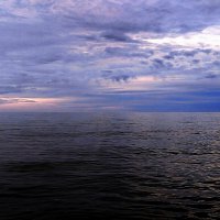 Черное  море, Сочи. Автор Саша :: Фотогруппа Весна