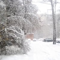 Зимой в городе :: Елена Семигина