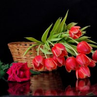 *** :: Валентина Богатко 