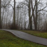 Утро :: Юрий. Шмаков