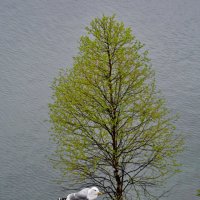 ... :: Анастасия Смирнова