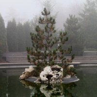 Туманное утро в городском парке :: Tina Kott