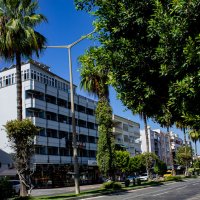 На улицах Алании :: Светлана SvetNika17