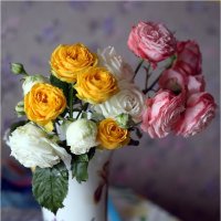 Вариант :: ZNatasha -