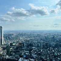 Токио,город в котором на 2025г проживает более 33 млн человек :: Николай Соколухин