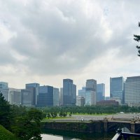 Деловой район Токио с подстриженными соснами :: Николай Соколухин