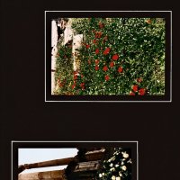 Рим - 24 :: Алексей Кузнецов