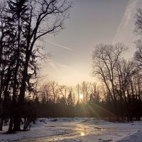 Весна :: Сапсан 