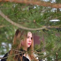 Девушка посреди еловых веток :: Мария Яковлева