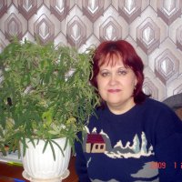 наталья :: Наталья Штанулина