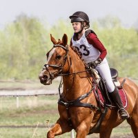 Кросс :: SanSan 