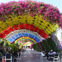 Зона отдыха в парке цветов :: Галина Ильясова