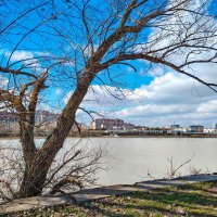 Река Кубань, Новая Адыгея. Март :: Валерий Ткаченко