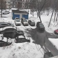 Из моего окна :: Дмитрий Никитин