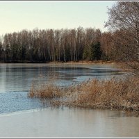 Весна :: Aleksandr Gal