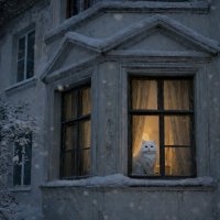 Мартовский кот :: Евгений Анисимов Мартовский кот :: Евгений Анисимов