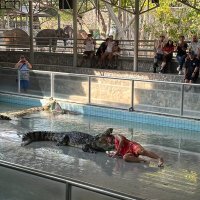 У каждого своя работа :: Валентина Богатко 