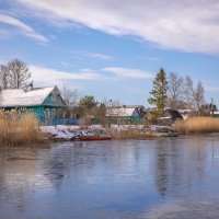 **** :: Елизавета .