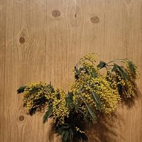 это наступила весна... :: Галина R...