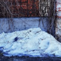 Остатки снега :: Юрий Гайворонскiий