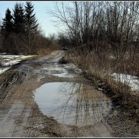 Пригрело :: Aleksandr Gal