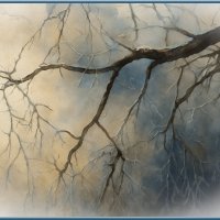 *** :: Aleksey Afonin