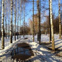 Это весна... :: Наталья ***