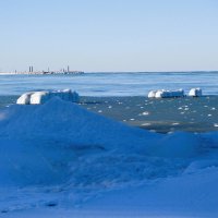 Февраль, Балтийское море и побережье, Калининградская область :: Рита Симонова