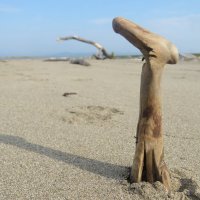 Впередсмотрящий :: ИРЭН@ .