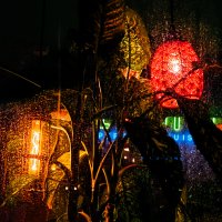 * :: Сергей Полянский