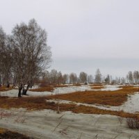 Уж тает снег у нас в полях. :: nadyasilyuk Вознюк