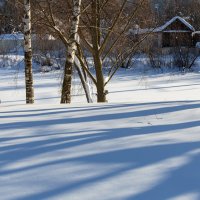 Зимние тени :: Александр Синдерёв
