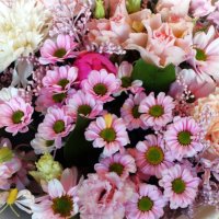 Мартовский букет :: Aida10 