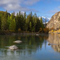 ***** :: владимир 