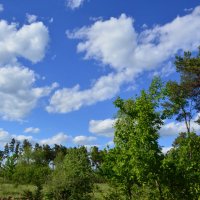 **** :: Виктор 