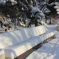 После снегопада :: viktor 