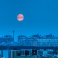 Про Питер :: Владимир Колесников