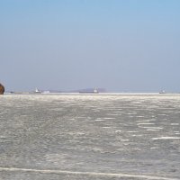 Рейд. :: Пал Саныч