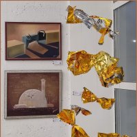 Инсталляция с бабочками для игр котов :: Татьяна Машошина