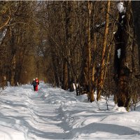По тропе здоровья :: Валентин Котляров