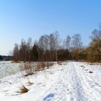 Весна на Смоленщине. :: Милешкин Владимир Алексеевич Весна на Смоленщине. :: Милешкин Владимир Алексеевич